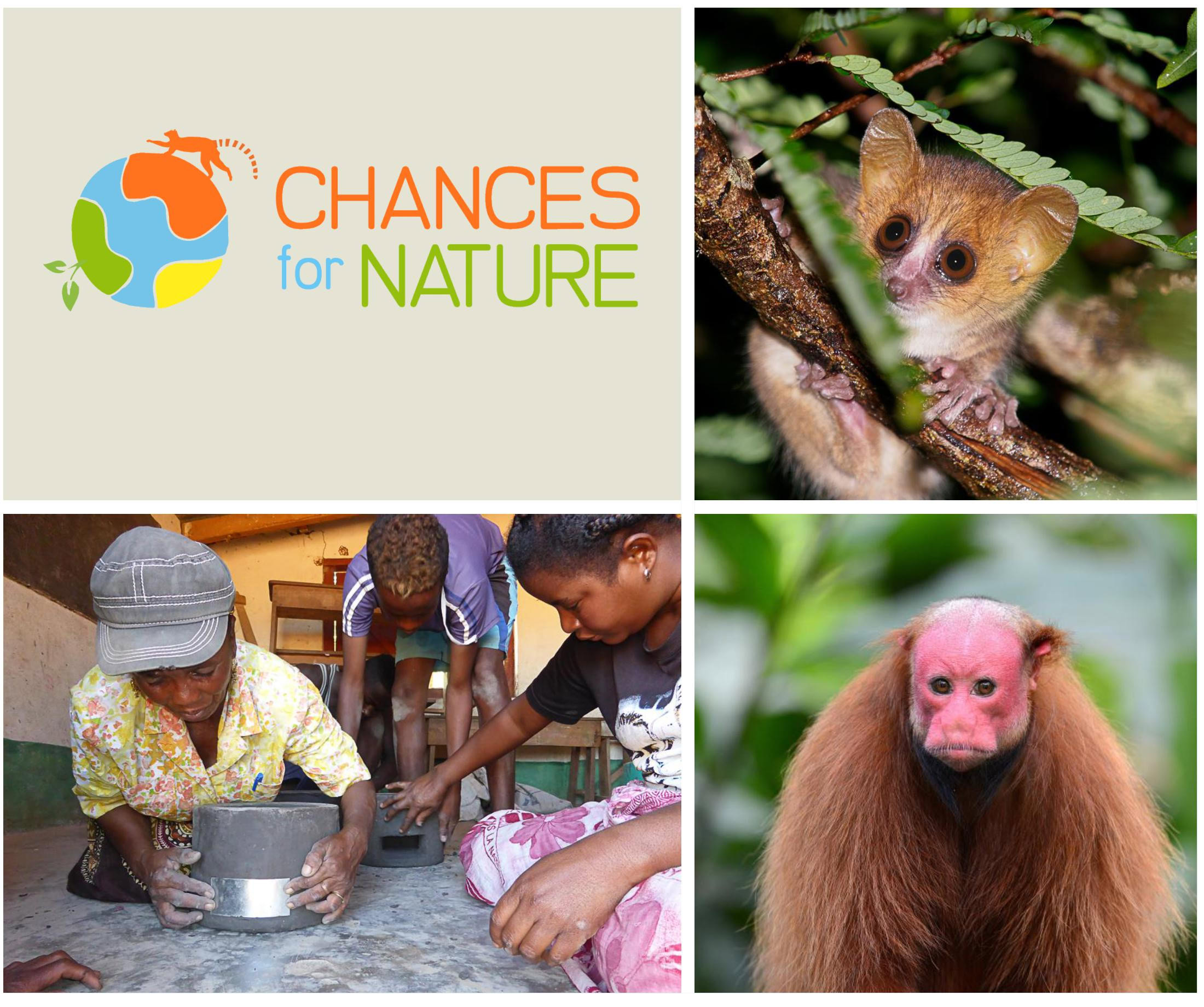 Chances for Nature